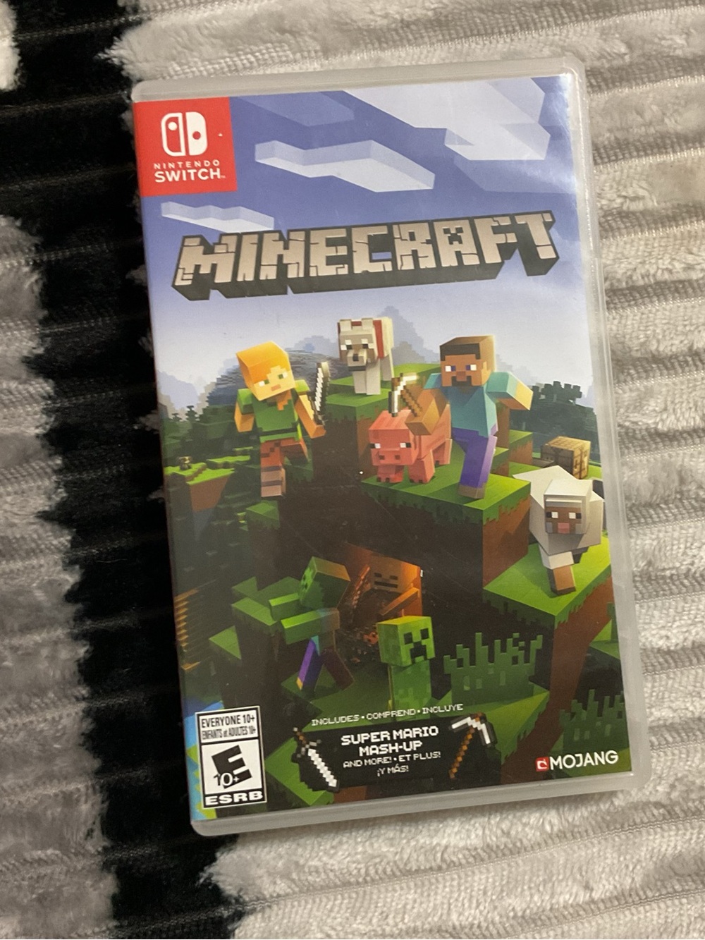 Minecraft  Nintendo Switch video Game